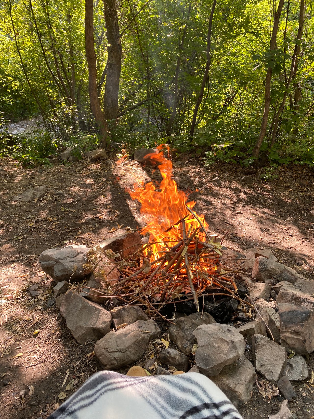 A campfire burning in a rock-lined fire ring in a wooded Utah canyon, surrounded by dry leaves and brush