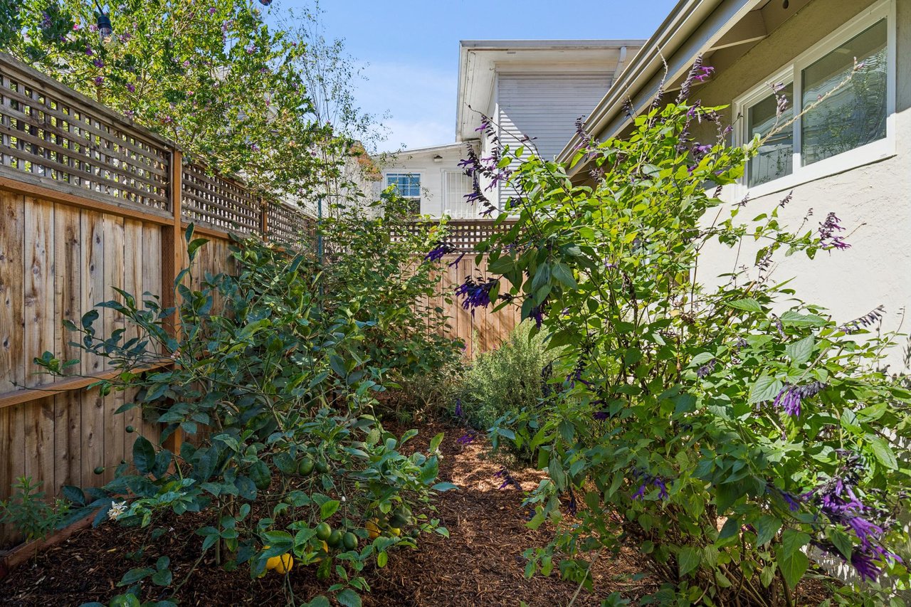 Side garden with a wood-chip path, purple-flowering shrubs, and a tall wooden fence beside the house.
