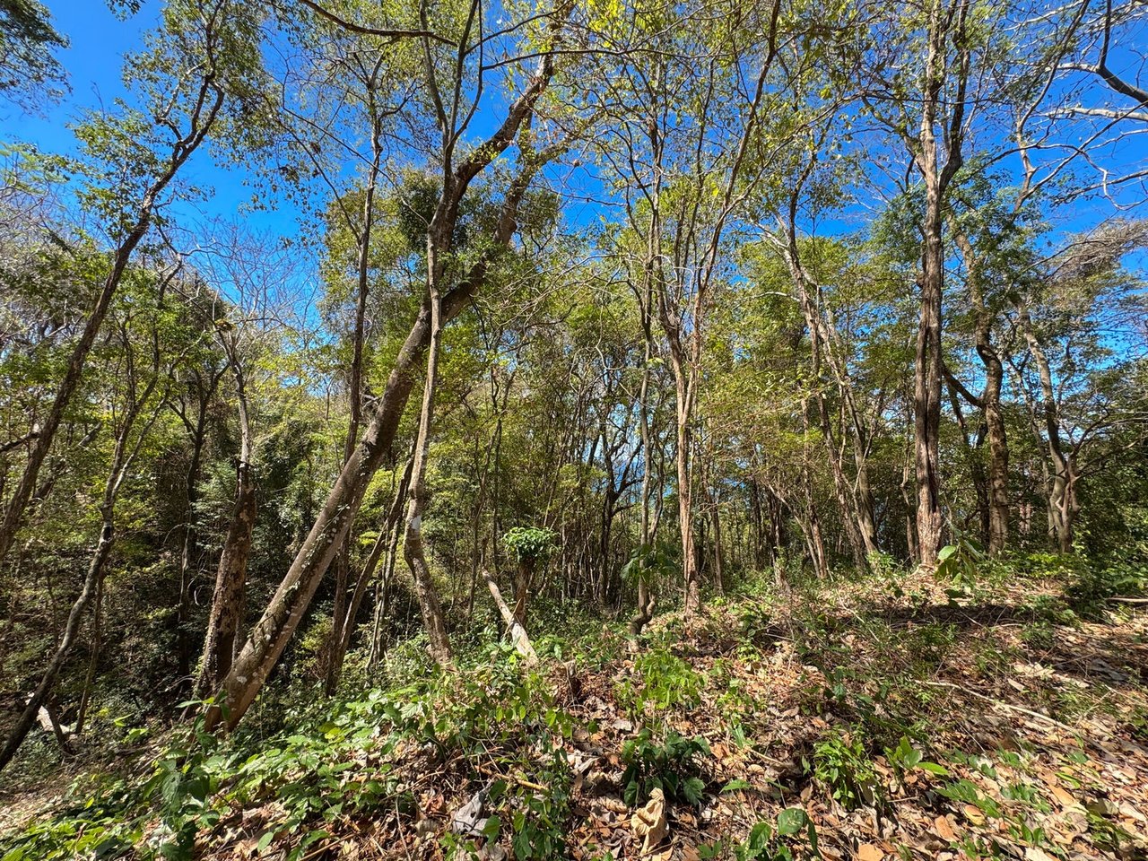 Refined Ocean View Development Parcel, Santa Teresa, Puntarenas