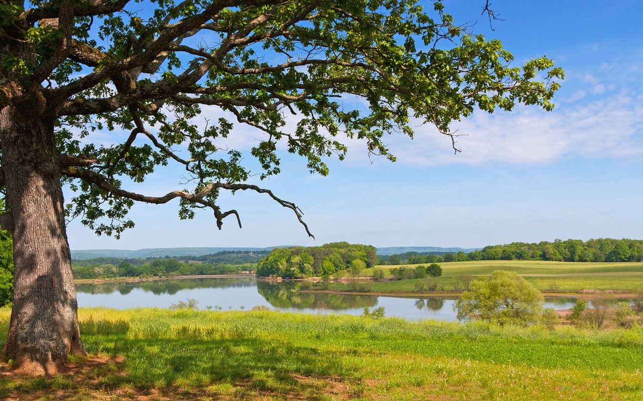 Coffee County