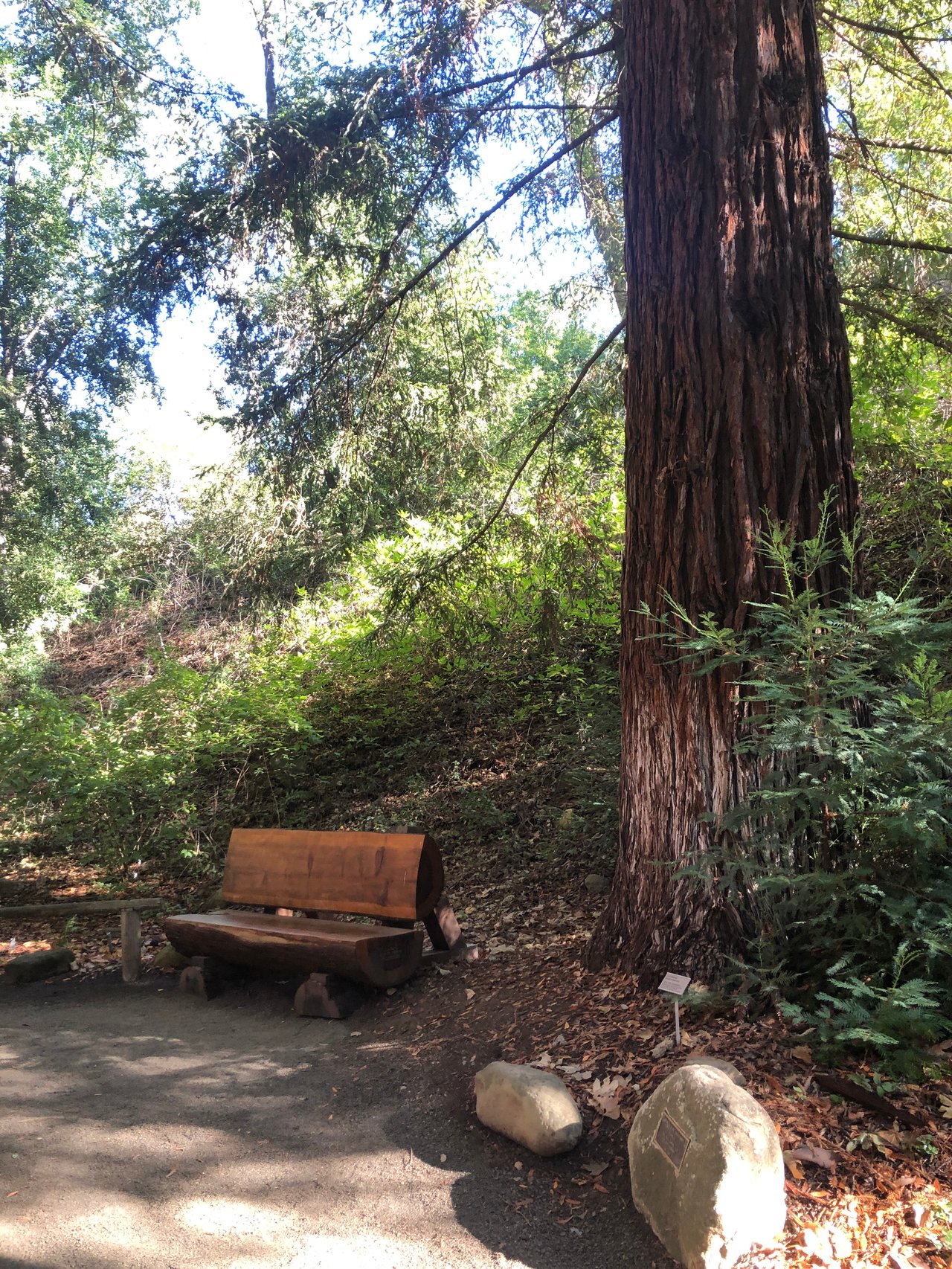 Golden Season: Fall in Santa Barbara