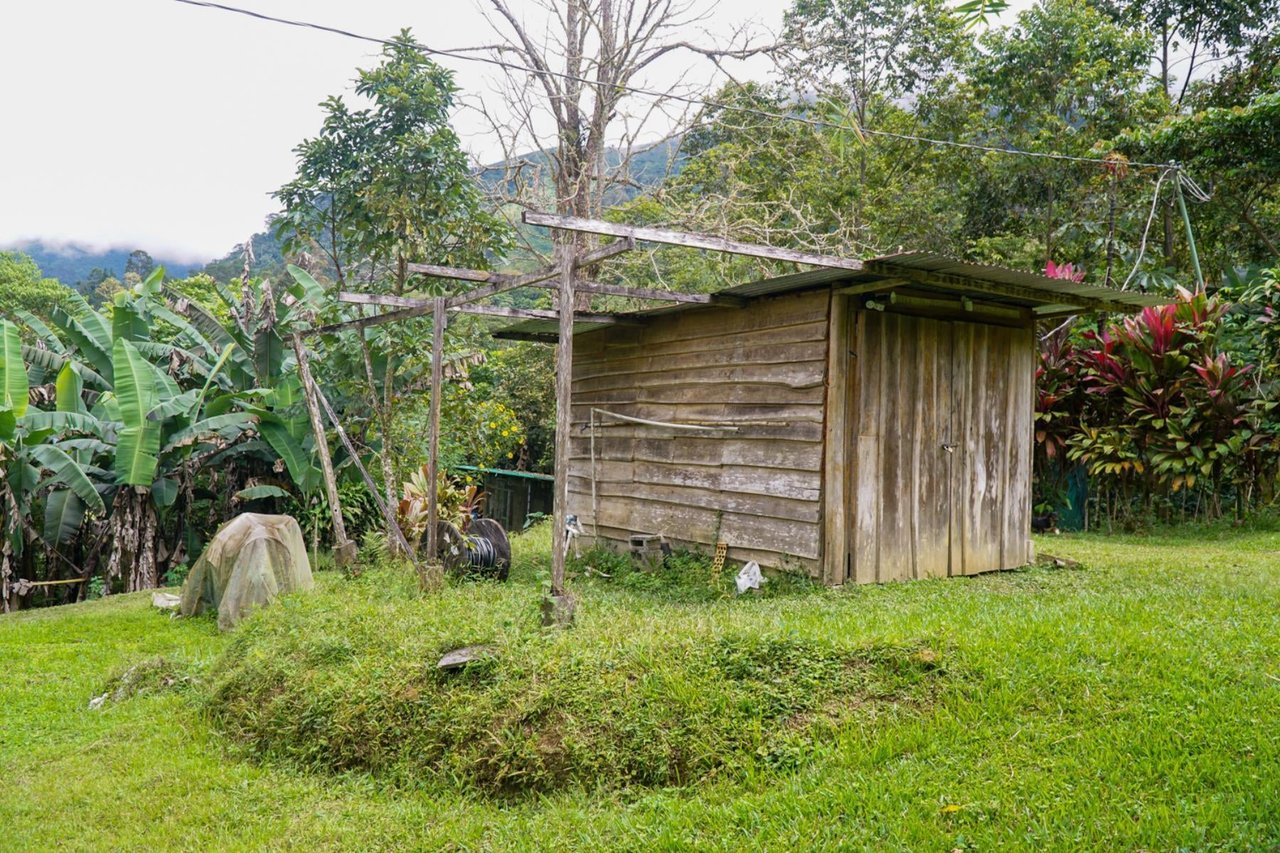Sustainable Organic Mountain Farm, Perez Zeledon, San Jose