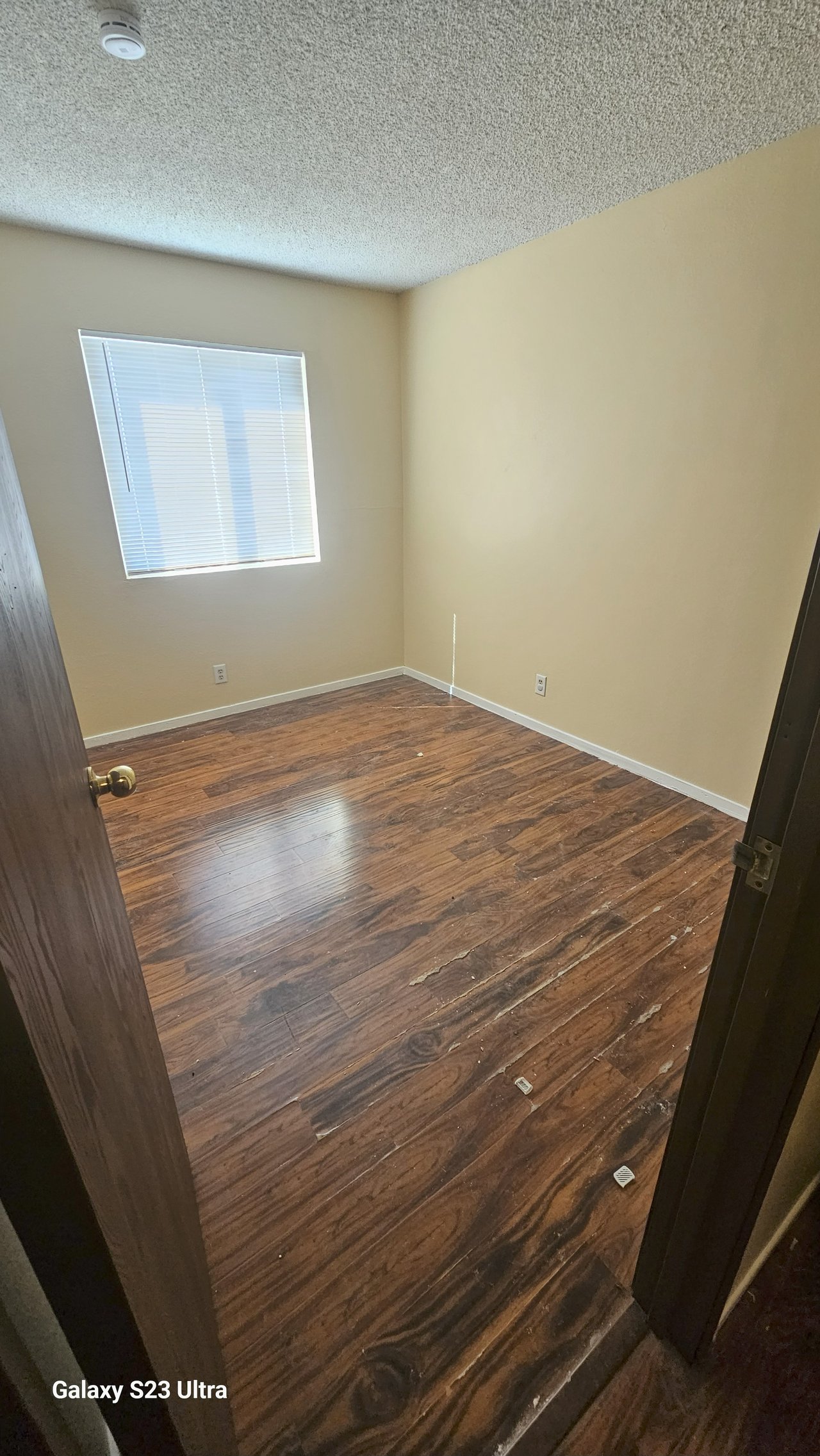 184 Judy Court #B