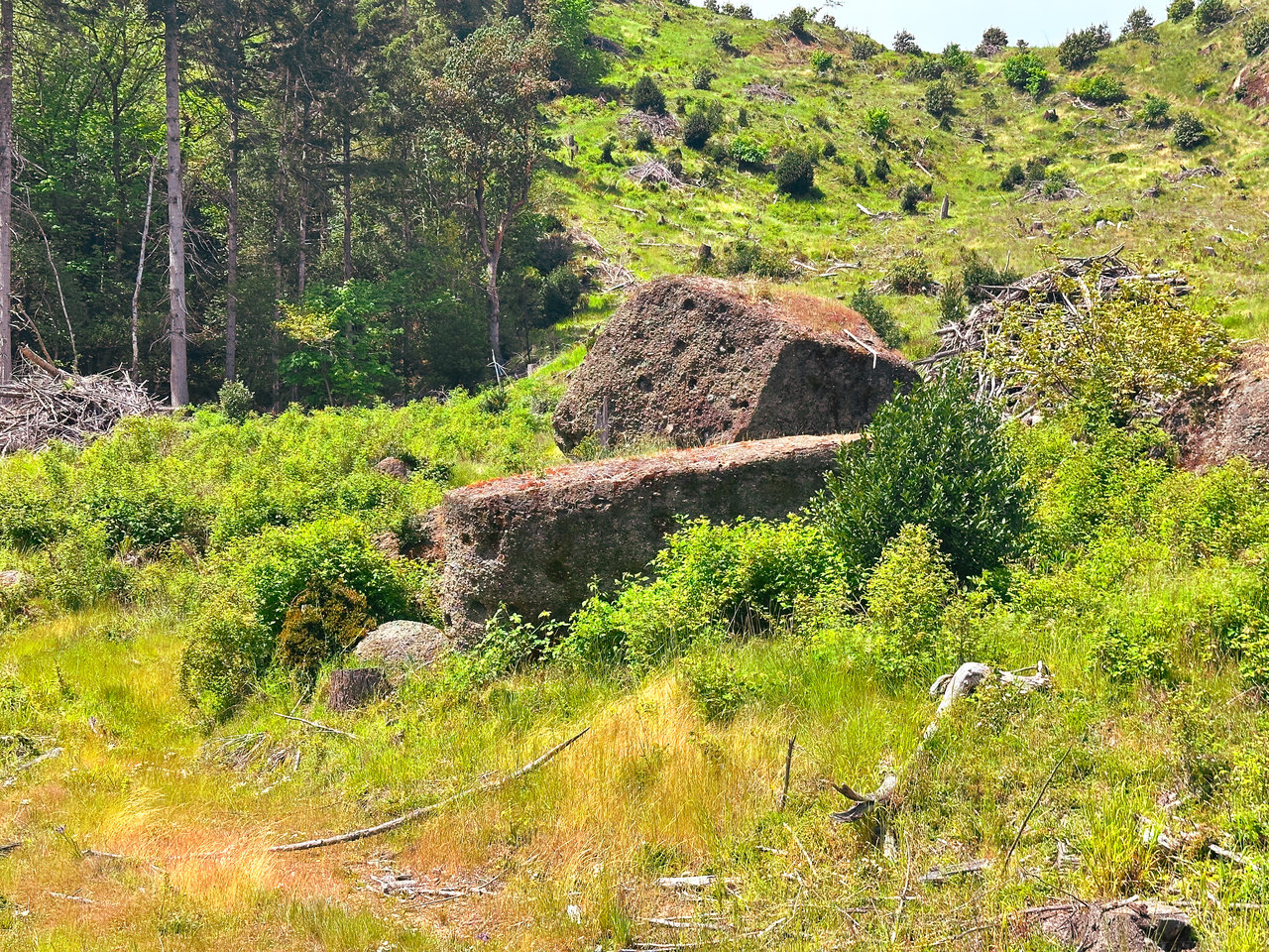 STRICKLAND CANYON HOMESITE