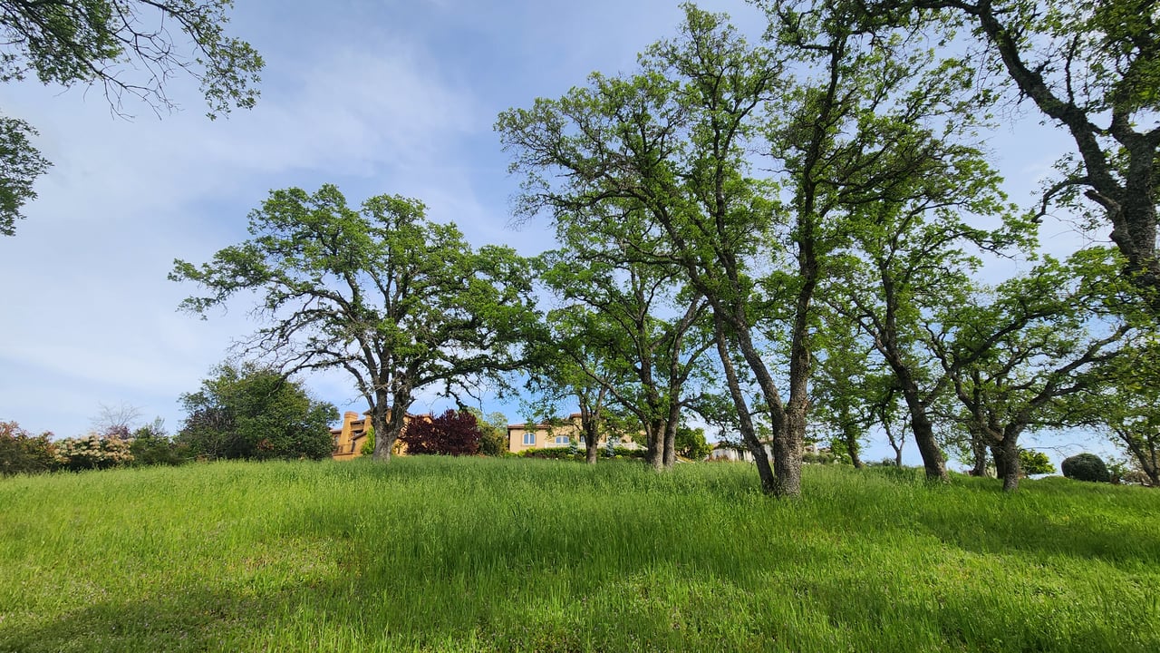 Dream Home Lot in El Dorado Hills