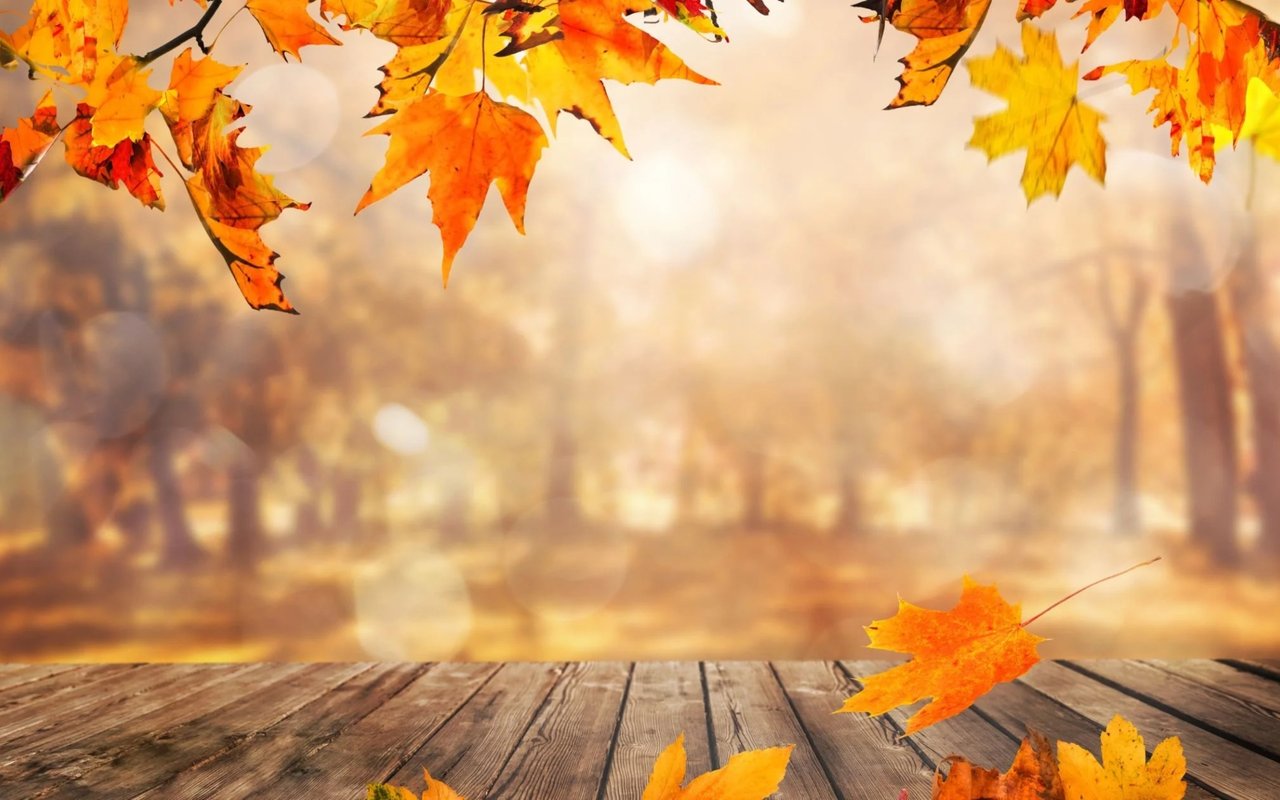 Hello October 2025