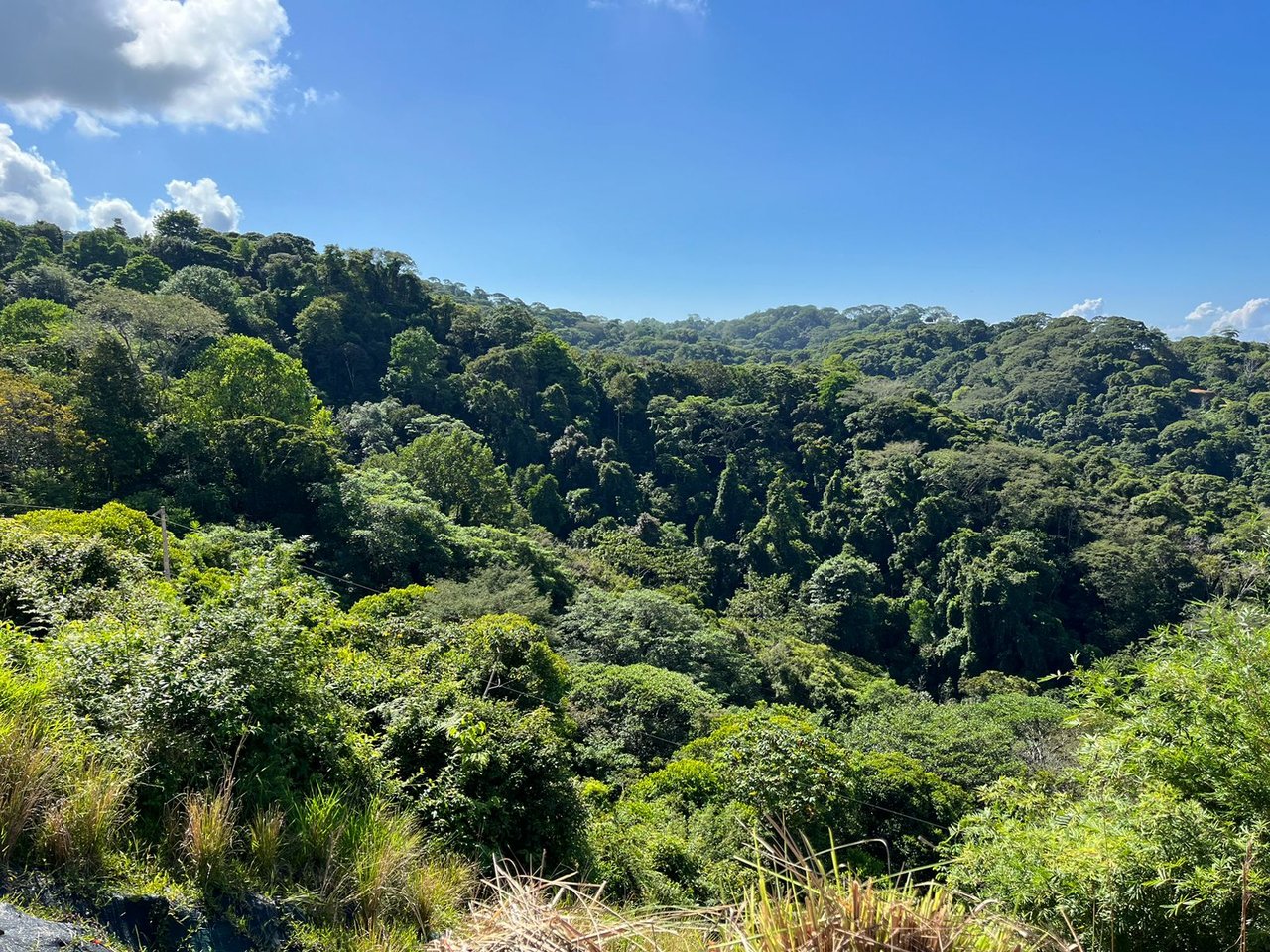 Cinematic Ocean&Mountain View Property In Vista Dominical Estate, Minutes From The Beach!