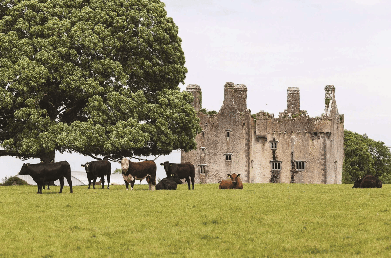 If You’re Going to Celebrate St. Patrick’s Day… You Might as Well Buy a Castle