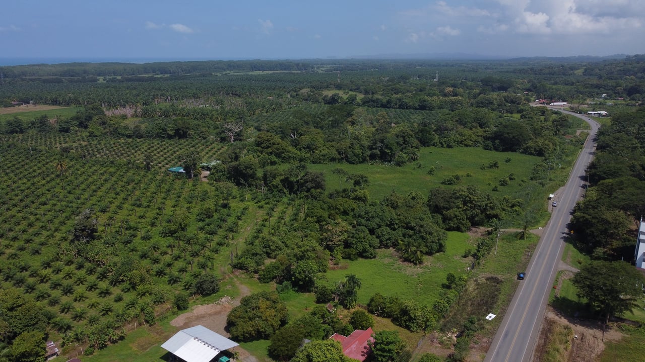 Prime Investment Property with Highway Frontage & Segregation Potential