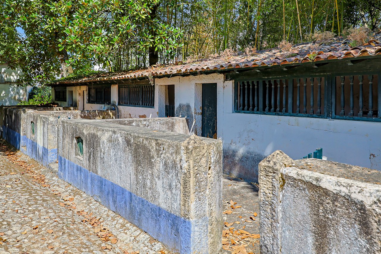 Magnificent 17th-Century Palace with  76,400 m² Estate Near Coimbra