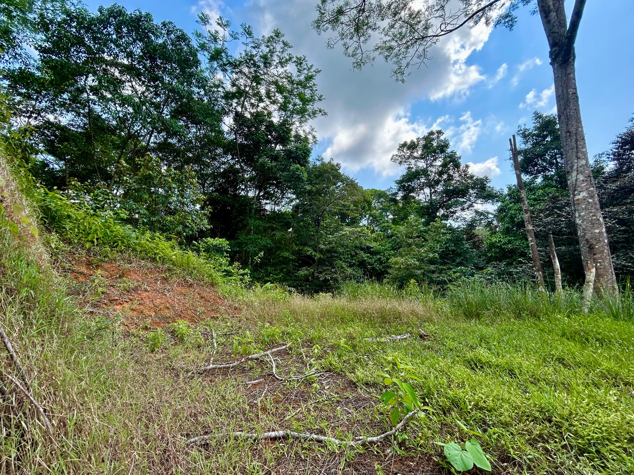 Beautiful Lot in Phase 9 Ojochal, Gated Communuity 
