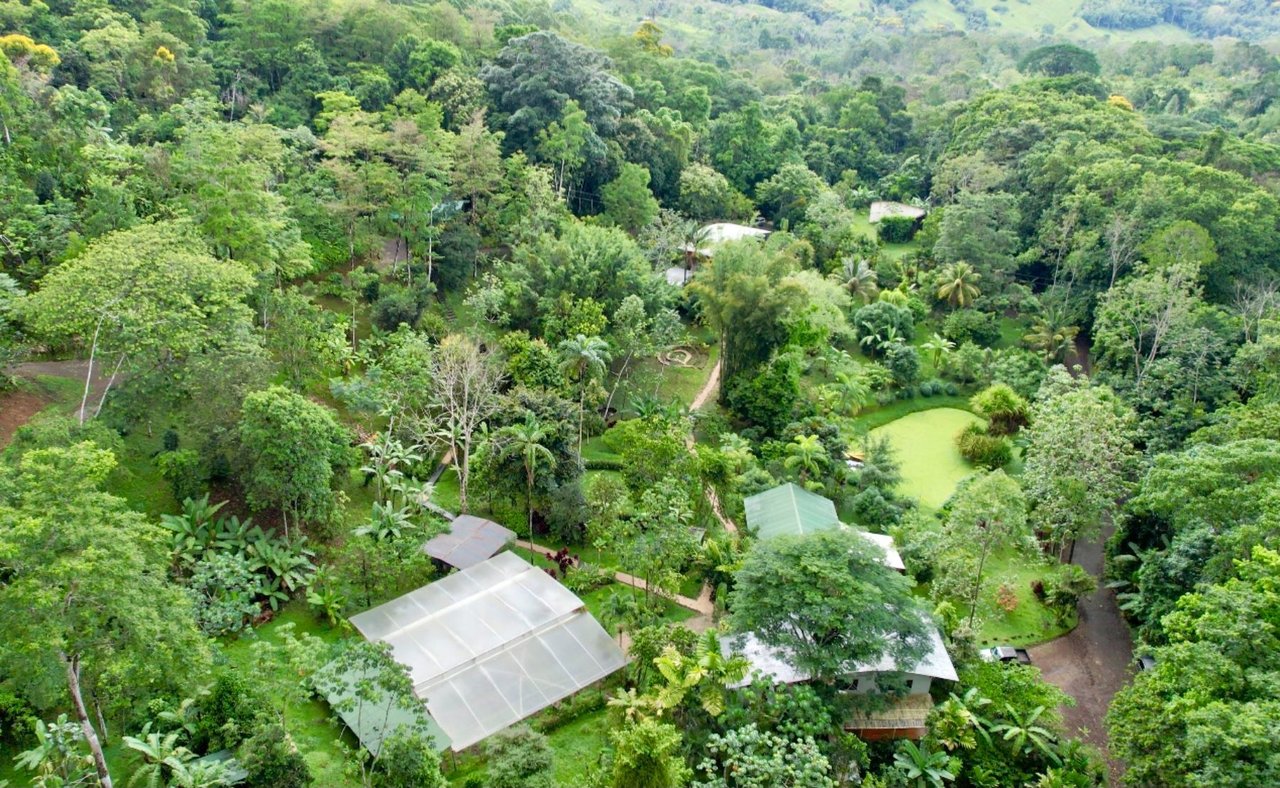 Mountain View Wellness Retreat, Perez Zeledon, San Jose
