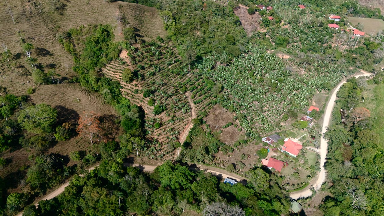 Over 2.5 Acres in Ceibo, Planted with Coffee and Fruits