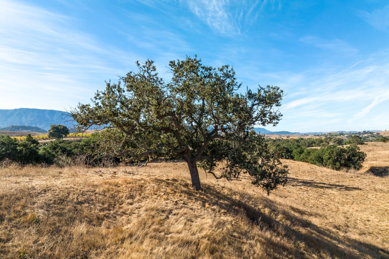 105+/- Magical Acres in Happy Canyon