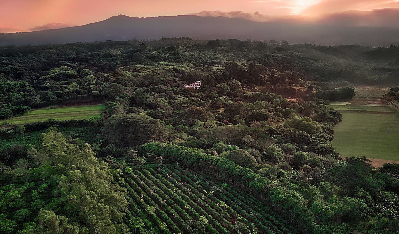 Boutique Coffee Farm Inn, Heredia