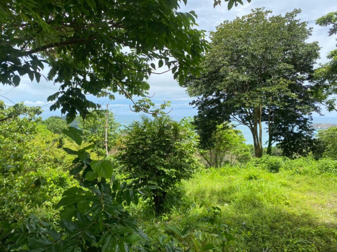 Prime Development Homesite, Manuel Antonio, Puntarenas