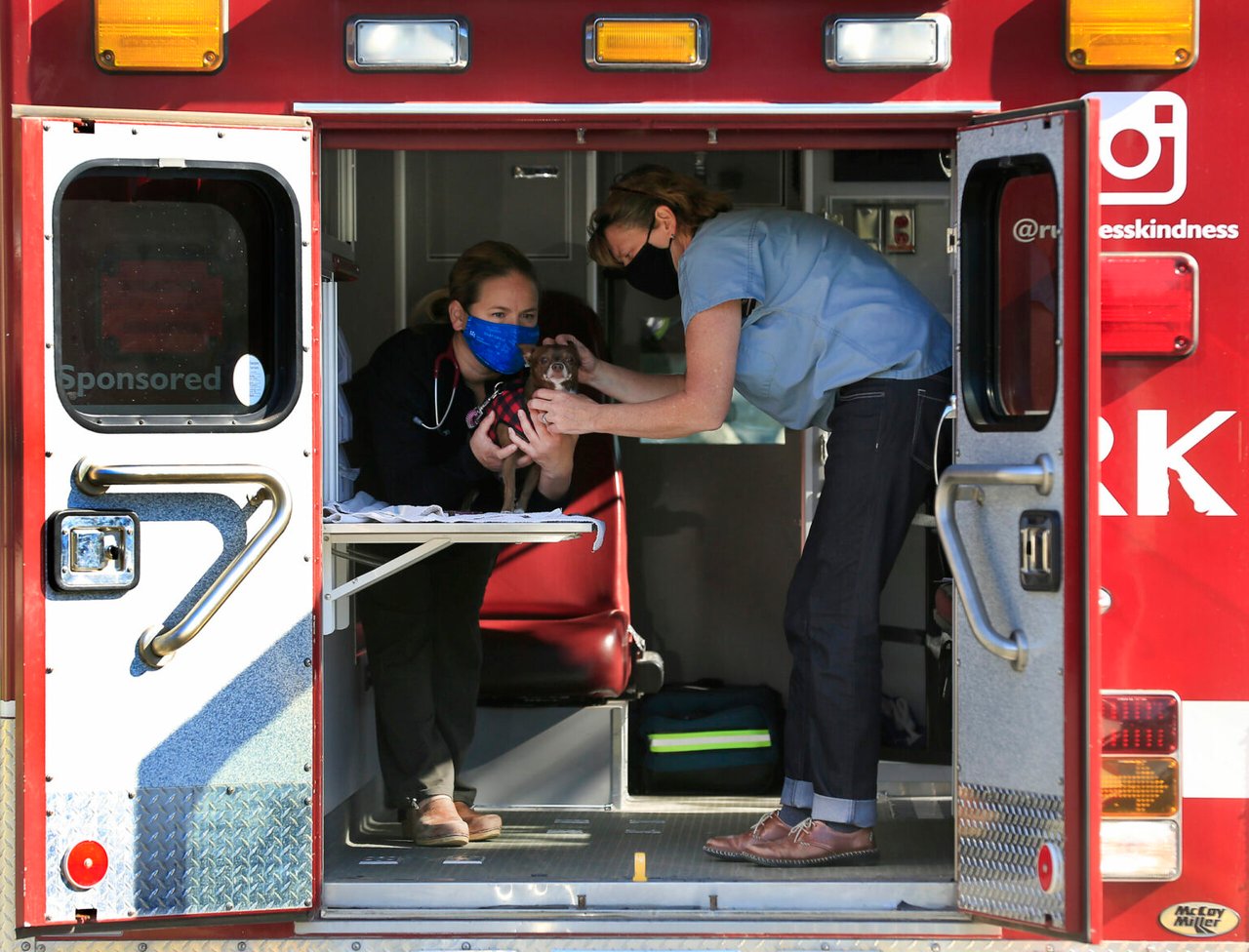 Ideas for Giving Tuesday in Sonoma County