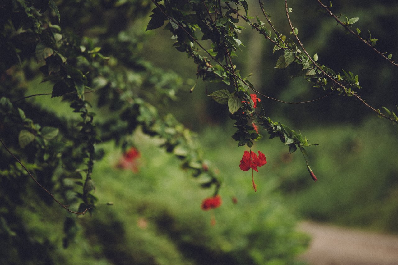  Punta Sabana & Mar Serena