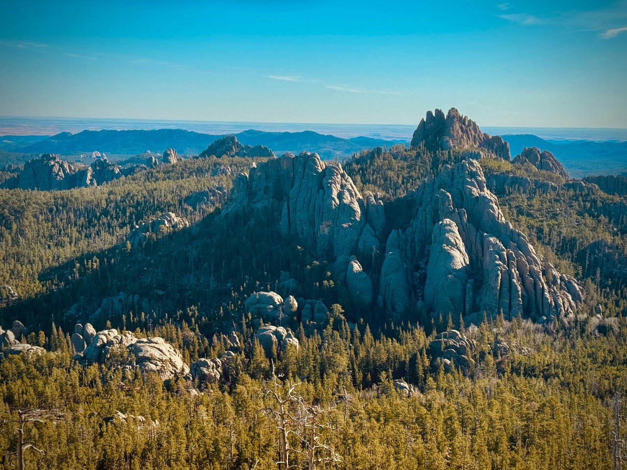 Living In The Black Hills 