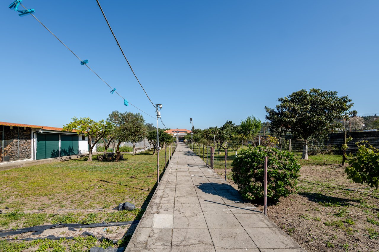 Exceptional Renovated Estate with 4 Residences, Pool & Orchard Near Porto