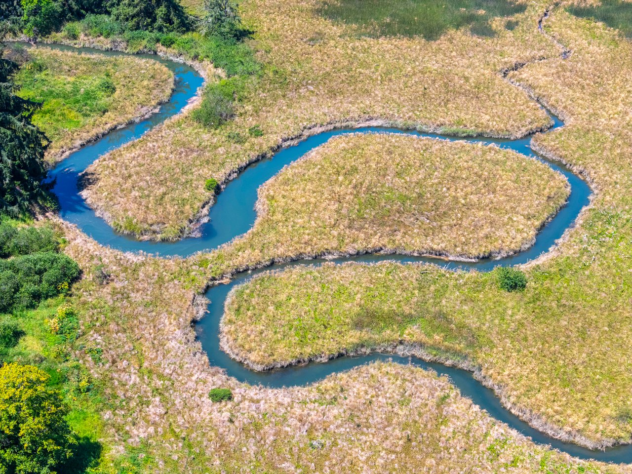 Alsea Estuary Forestland