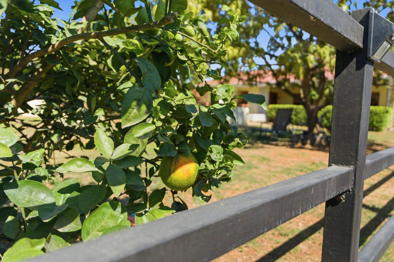 The Jewel of Sardinal | Income, Lifestyle, and Opportunity in One Exceptional Property