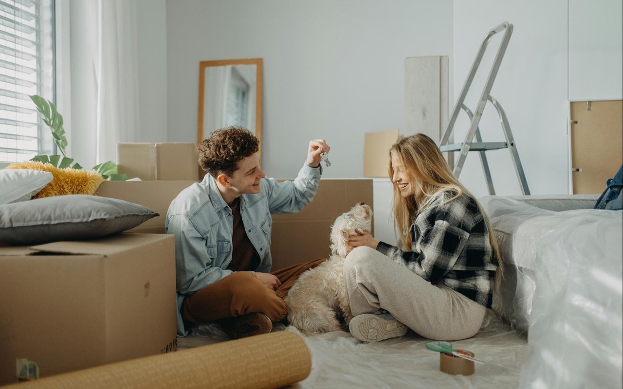 ​​Tips for Moving with Pets