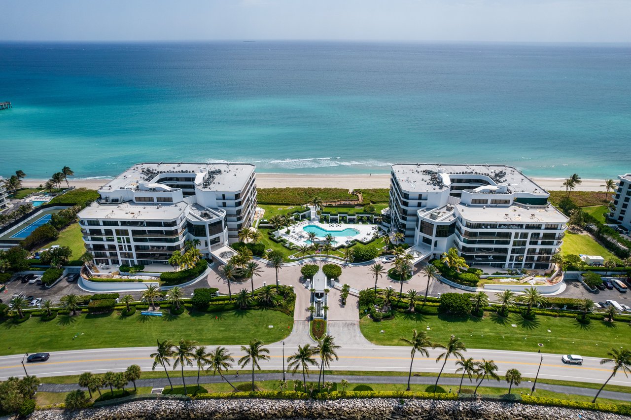 Palm Beach Hampton 501s