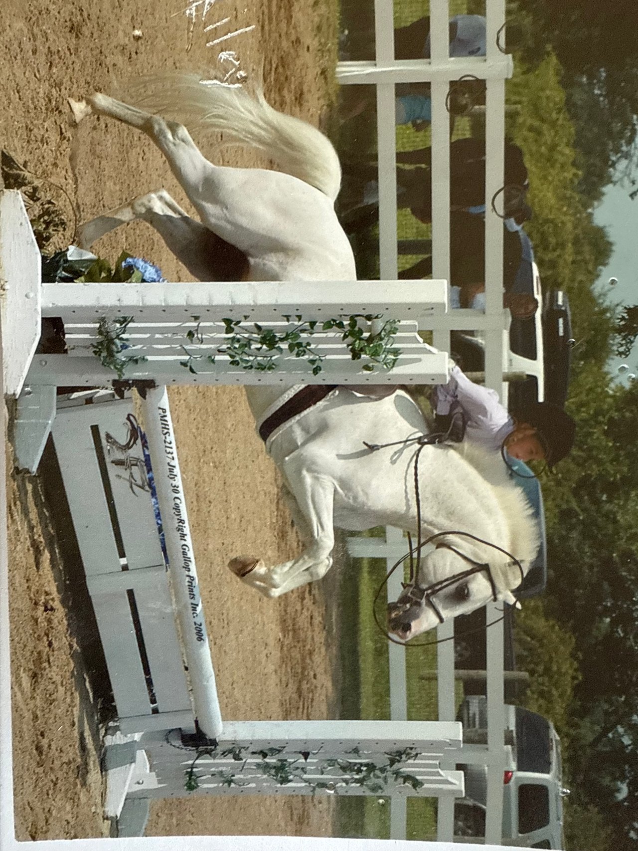Devon Horse Show 2026 Guide, Lead Line History & Final Weekend Events | B&B Luxury Properties