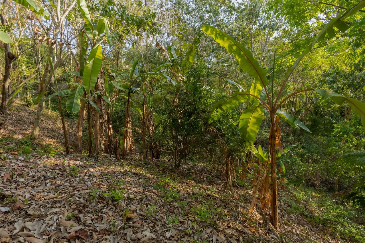 Exclusive Ocean View Development Homesite, Santa Teresa, Puntarenas