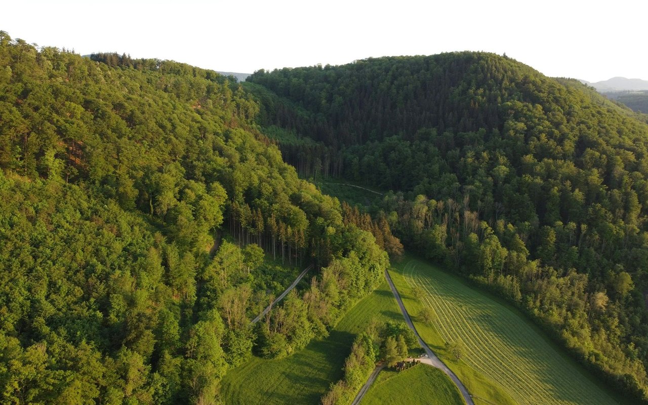 Turner Mountain