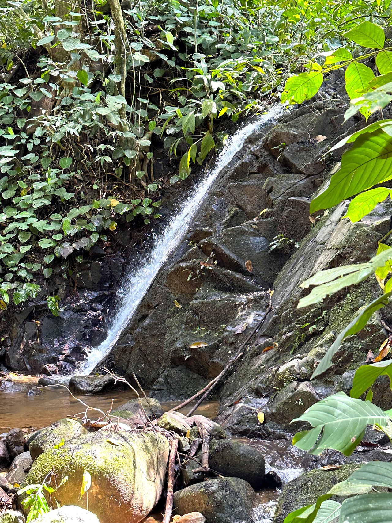 FIRE SALE! Jungle, Rivers, a Waterfall and Panoramic Ocean View