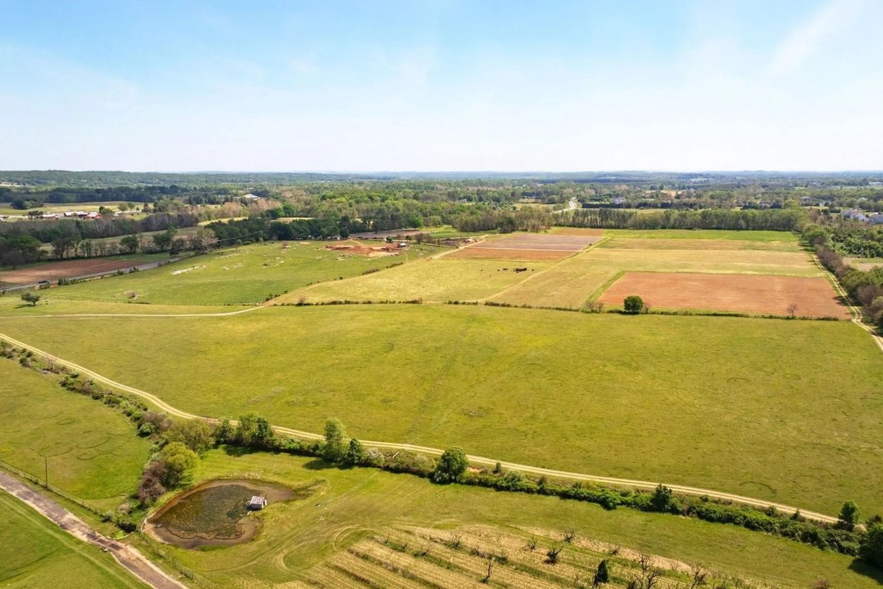 Aerial view of broad green pasture and cultivated fields with a dirt road and small pond.