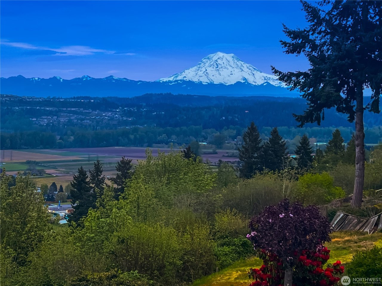 Puyallup