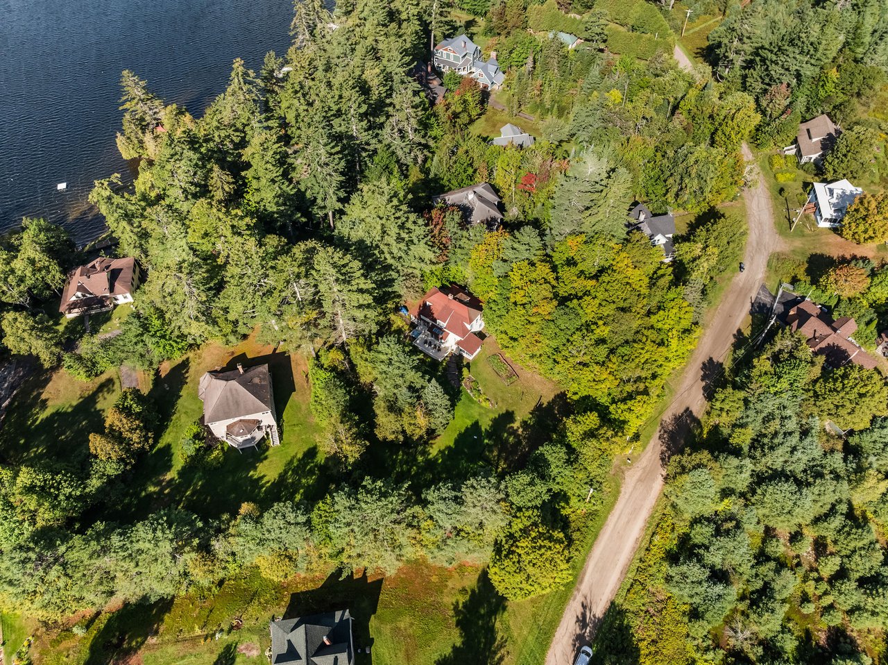 Wooded lakeside property with several homes, mature trees, and a gravel road.