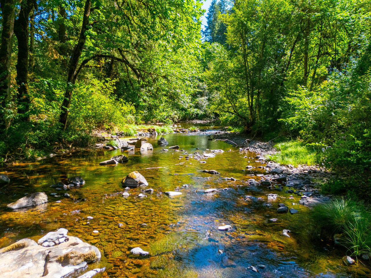 Coast Fork Woodland Meadows
