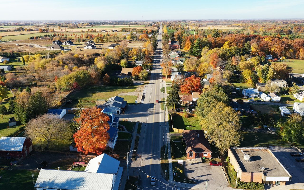 Forest Hill
