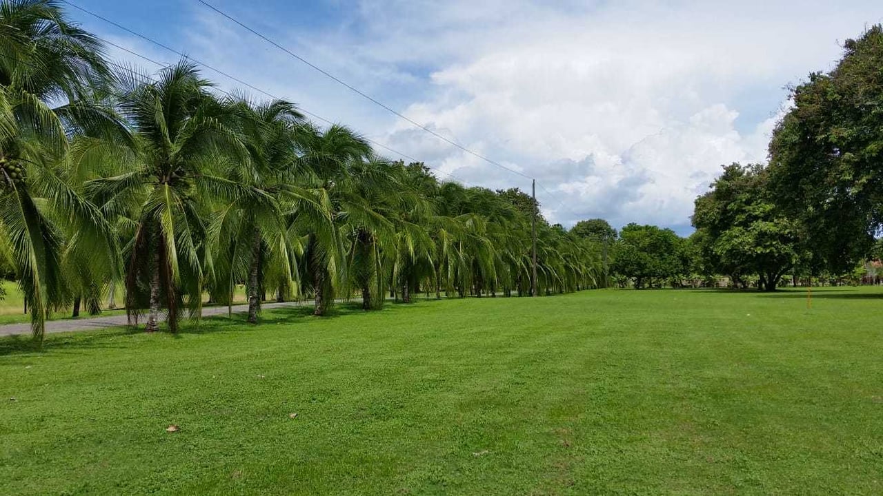 Private Hangar Estate, Osa, Puntarenas