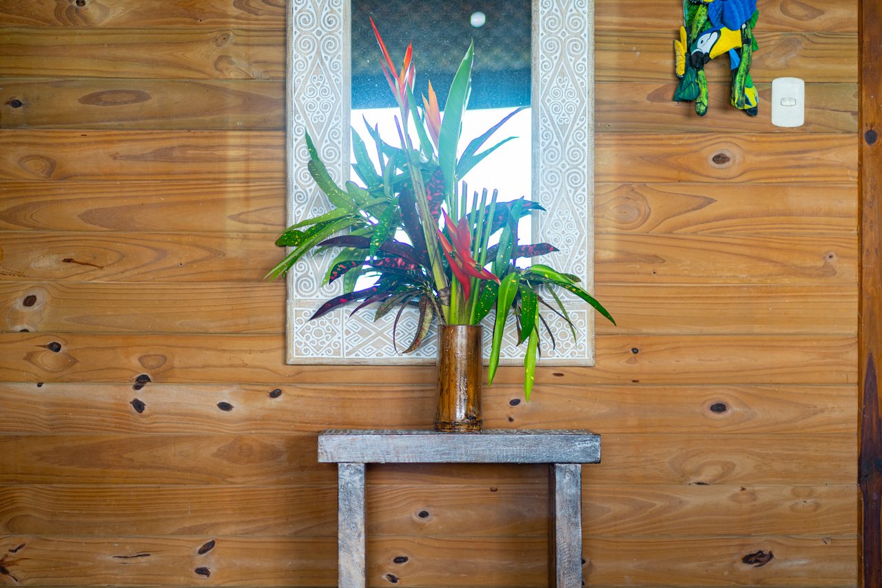 VILLA KRISTINA MARIA - 3.84 ACRES - PERLA DE BALLENA ESTATES