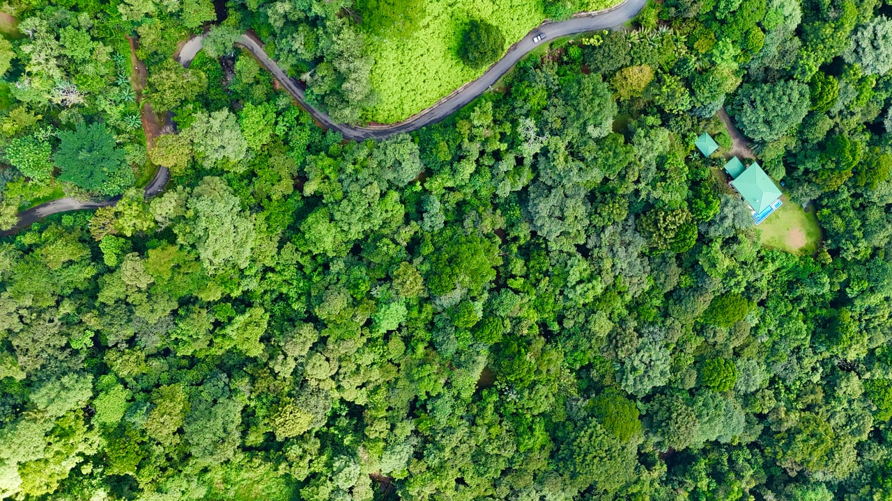 Selva Vista Estate – 5.9 Acres of Wild Beauty