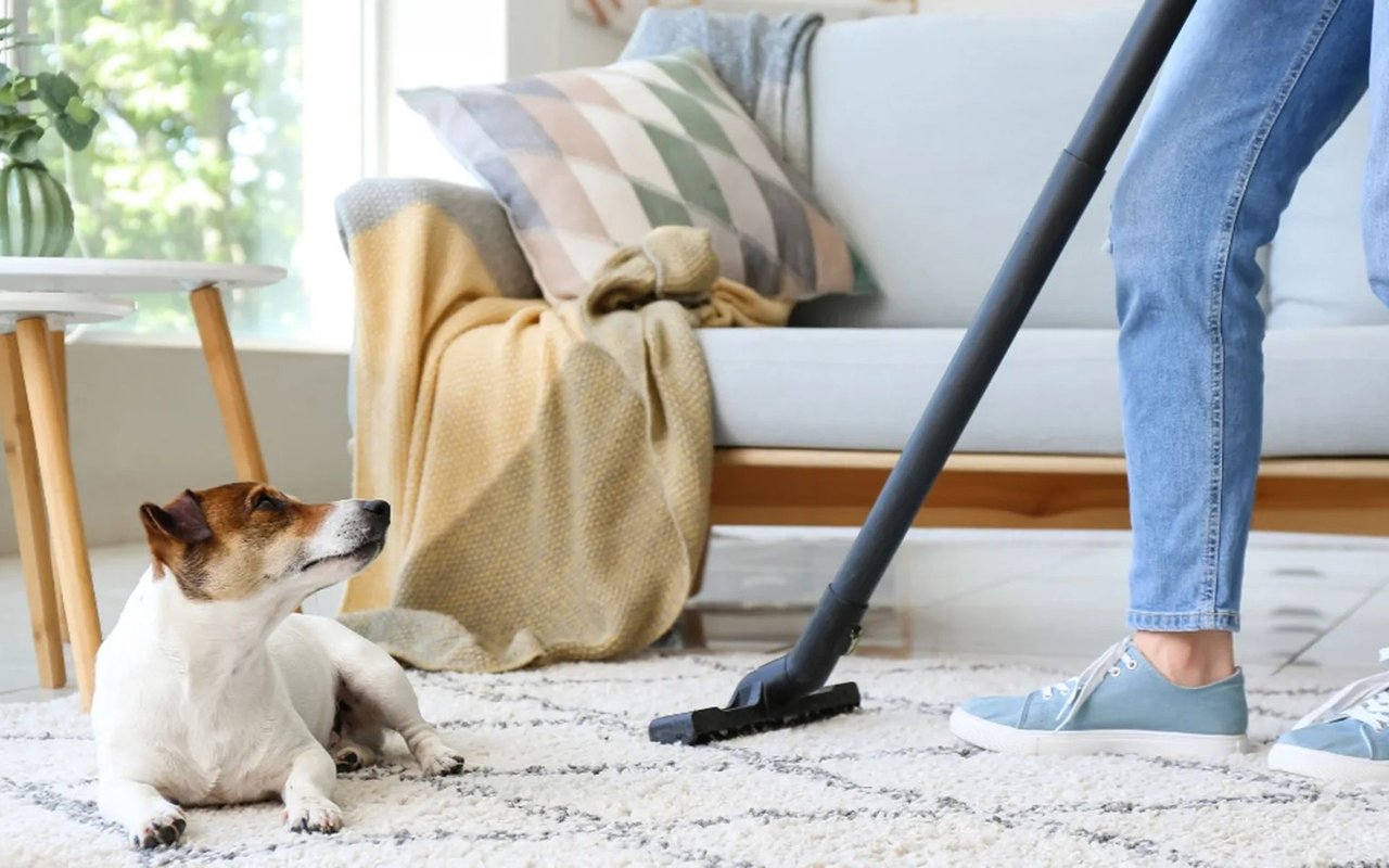 The Ultimate Spring Cleaning Checklist