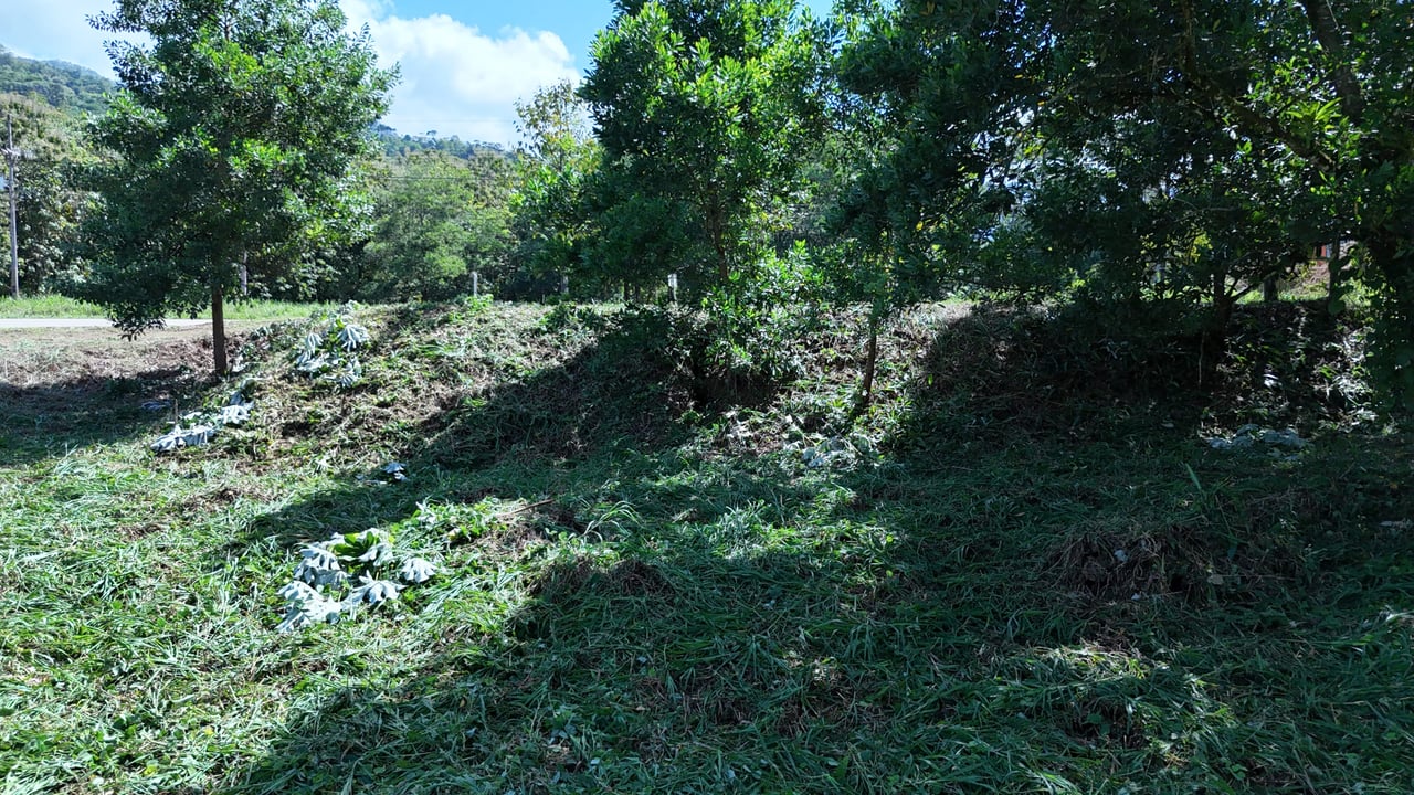 Prime Commercial Land in Uvita!