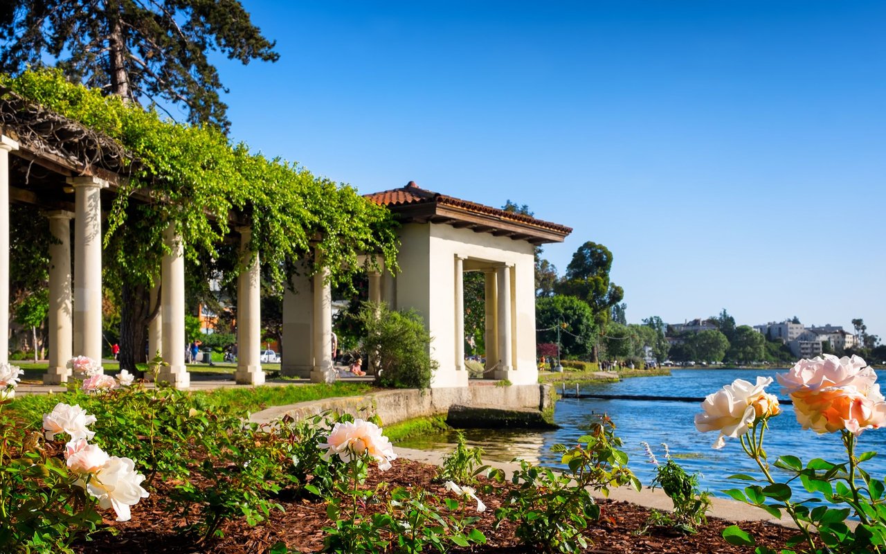 Vine-covered pavilion and rose garden beside a lake on a sunny day.