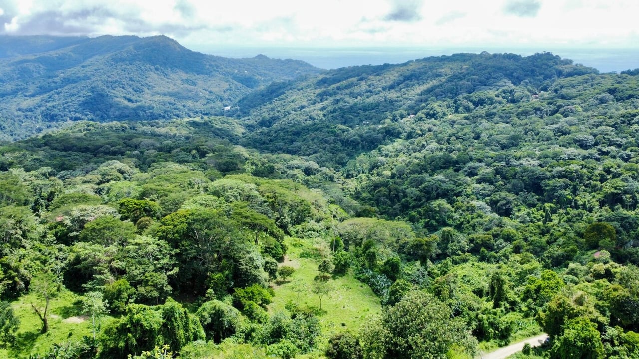4.76 ACRES – Ocean View Property in Lagunas, Completely Flat And Usable, Commercial Or Residential, Ready To Build!!!