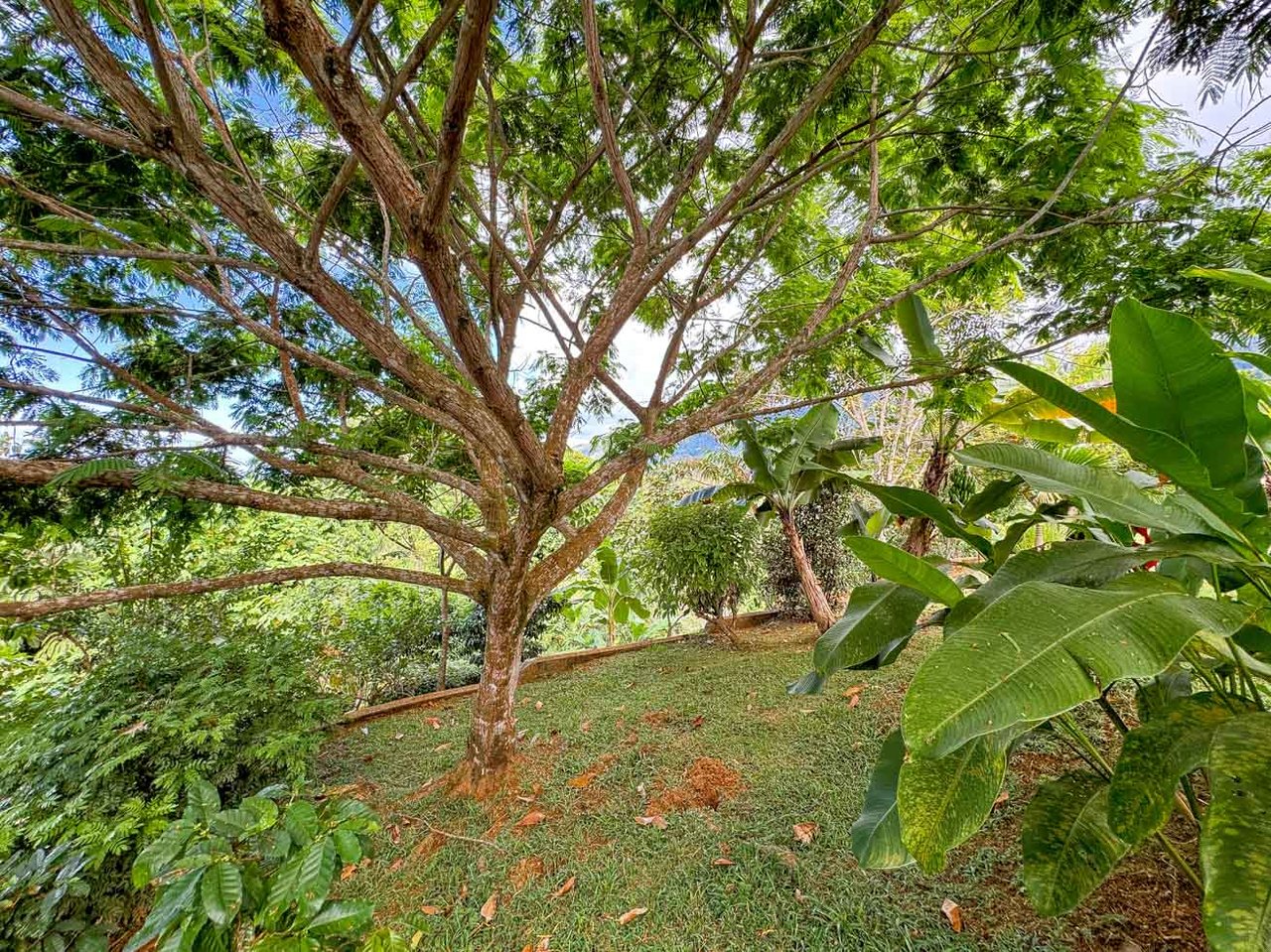 Ocean, Jungle & Mountain View Home in Ojochal | Protected Jungle Setting
