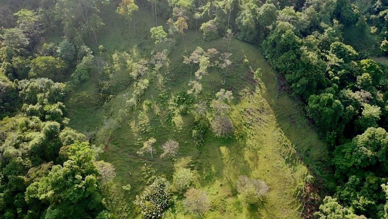 Prime Ocean and Whale tail View Development Land In Uvita