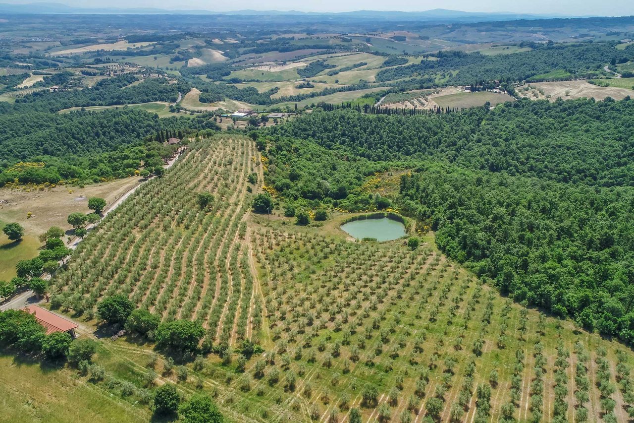 Agriturismo - Torrita di Siena