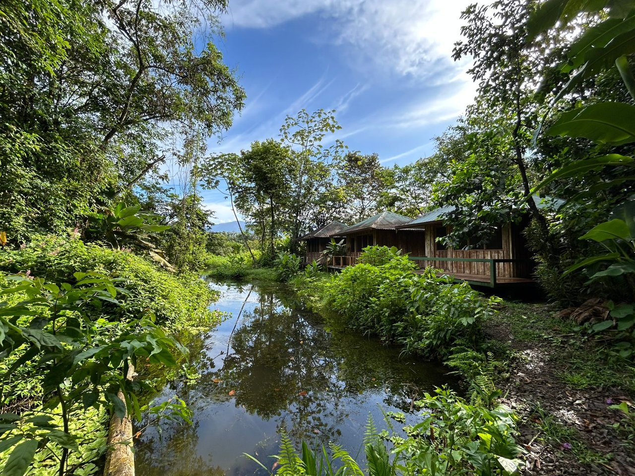 60 Acre Fully Sustainable and Impactful Conservation Initiative Near Golfito