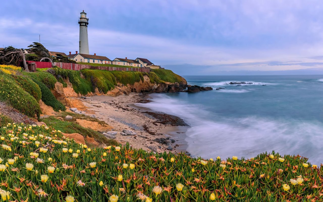 Pescadero coast with a lighthouse on a rocky bluff, waves below, and flowering succulents in the foreground.