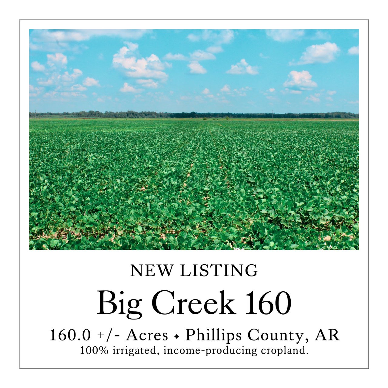Big Creek 160